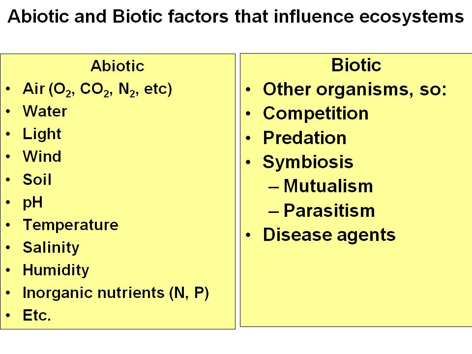 A Forest Of Biotic And Abiotic Pictures 50